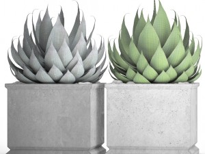 agave collection 3D Model