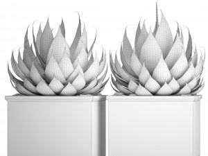 agave collection 3D Model