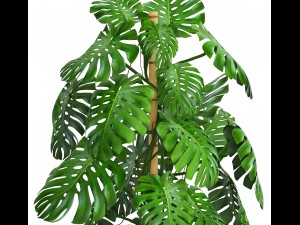 monstera 3D-Modell