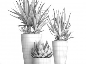potted plants yucca and agava 3D Model