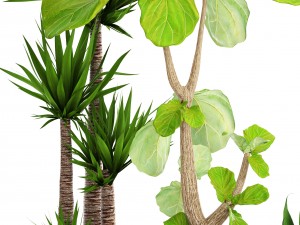 collection plants 3D Model