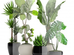 collection plants 3D Model