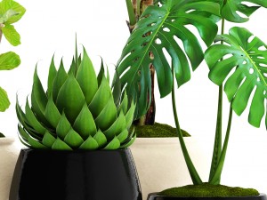collection plants 3D Model