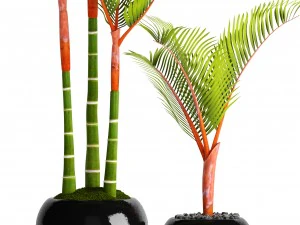 cyrtostachys renda palm 3D Model