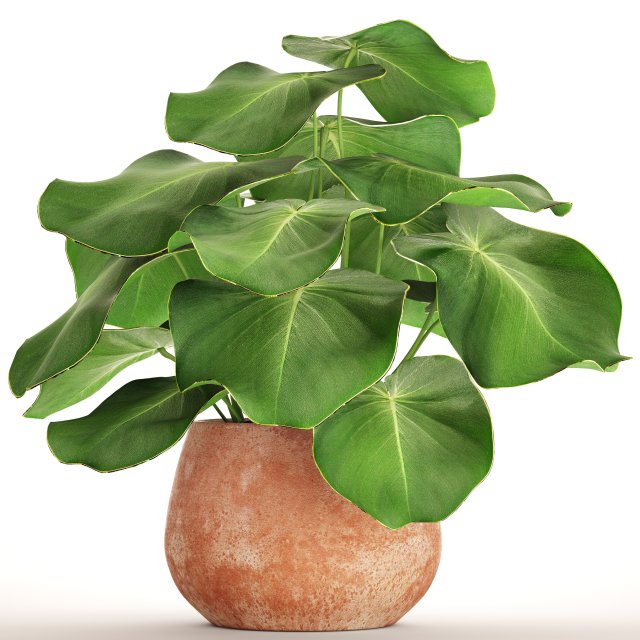 tropical plant in pot 3D Model .c4d .max .obj .3ds .fbx .stl .blend 