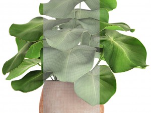 tropical plant in pot 3D Model
