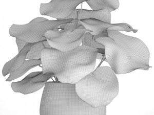 tropical plant in pot 3D Model