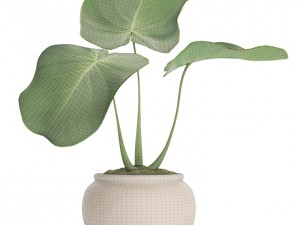 tropical plant in pot 3D मॉडल