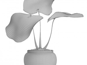 tropical plant in pot 3D मॉडल