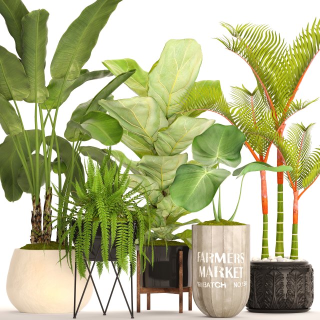 collection plants Modèle 3D .c4d .max .obj .3ds .fbx .stl .blend 