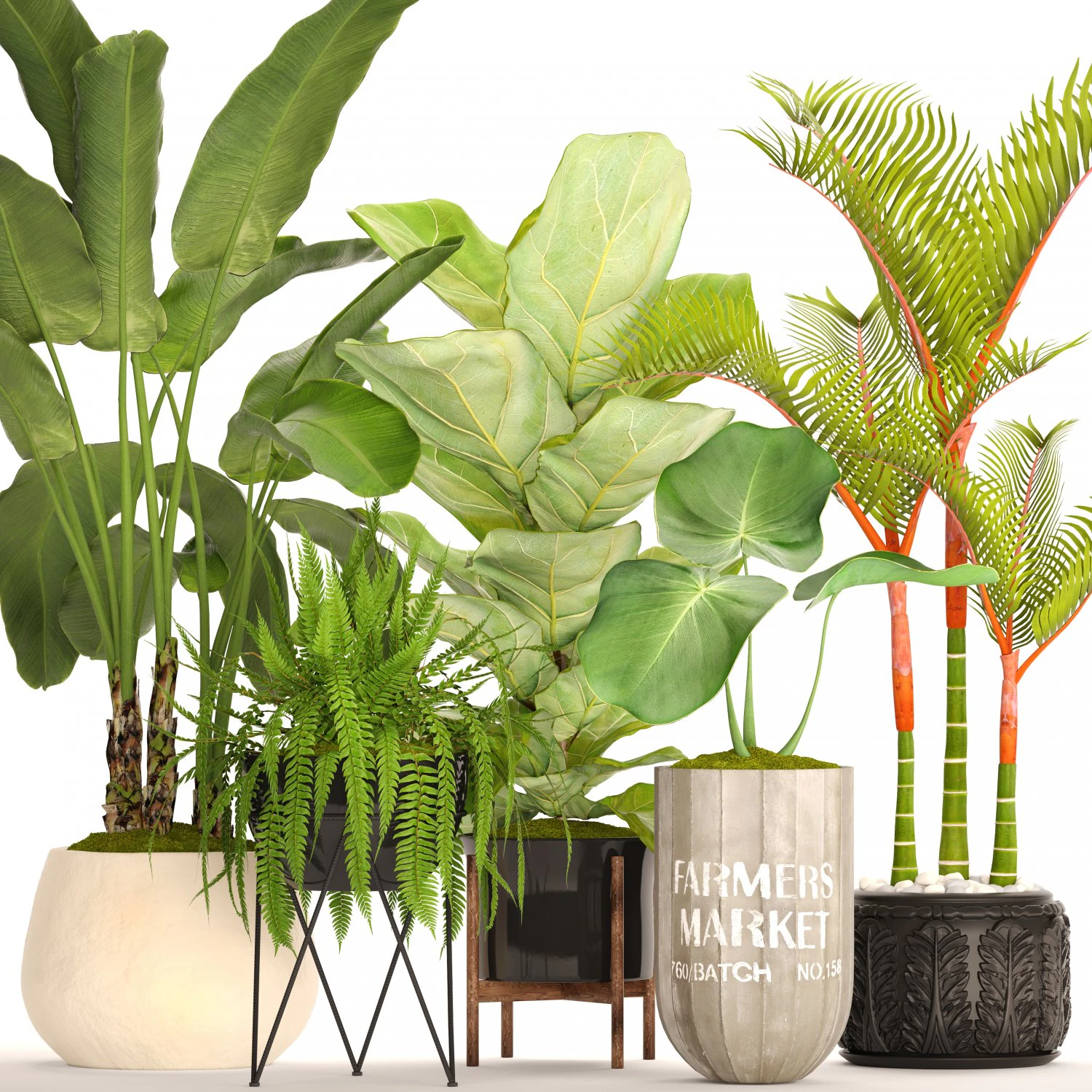 collection plants 3D Model .c4d .max .obj .3ds .fbx .stl .blend 