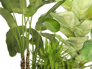 collection plants Modèle 3D