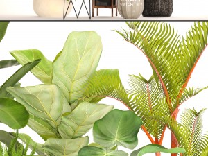 collection plants Modèle 3D