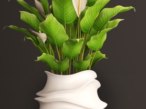 spathiphyllum plant 3D मॉडल