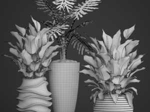 spathiphyllum plant 3D मॉडल