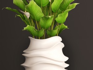 spathiphyllum plant 3D मॉडल