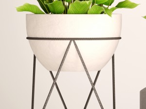 spathiphyllum plant 3 Modello 3D