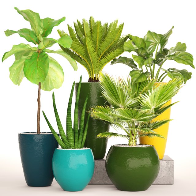 collection plants Modello 3D .c4d .max .obj .3ds .fbx .stl .blend 