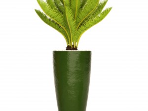 collection plants Modello 3D