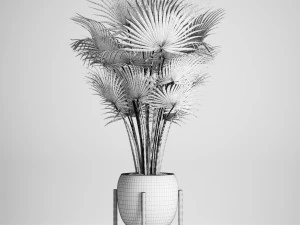 palm tree 3D Model