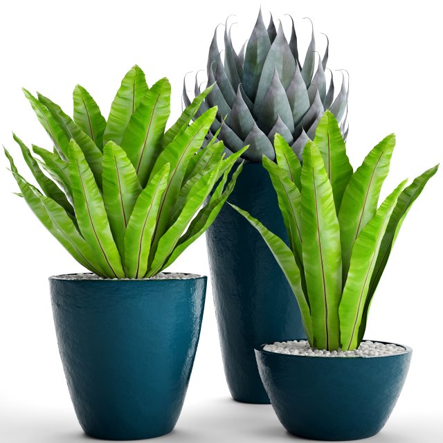 plants collection pot 3D Модель .c4d .max .obj .3ds .fbx .stl .blend