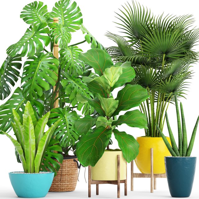collection plants 3D 模型 .c4d .max .obj .3ds .fbx .stl .blend 