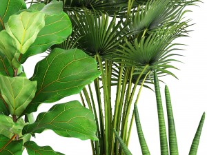 collection plants 3D 模型