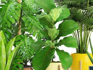 collection plants 3D Model
