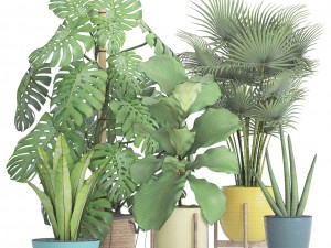 collection plants 3D 模型