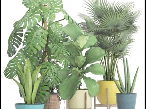 collection plants 3D 模型