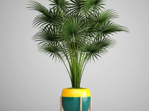 palm tree Modelo 3D