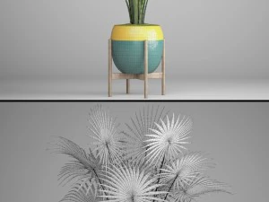 palm tree 3D Model