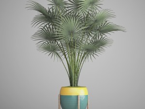 palm tree Modelo 3D