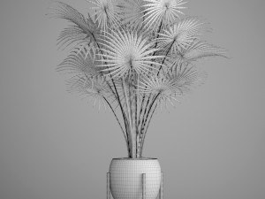 palm tree Modelo 3D