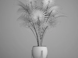 palm tree 3D Model