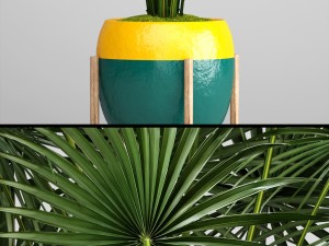 palm tree Modelo 3D