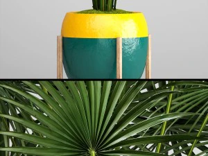 palm tree 3D Model