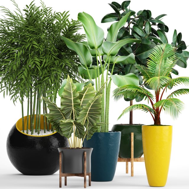 collection plants 3D Модель .c4d .max .obj .3ds .fbx .stl .blend 
