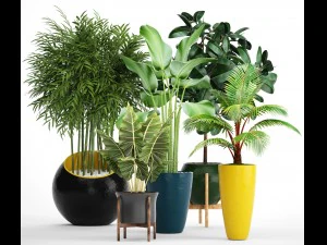 collection plants 3D Model