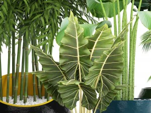 collection plants 3D Model