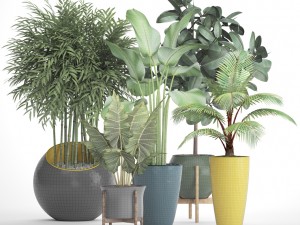 collection plants 3D Модель