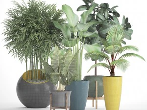 collection plants 3D Model