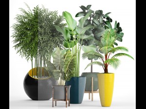 collection plants 3D Модель