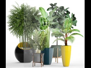 collection plants 3D Model