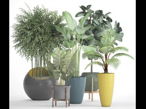 collection plants 3D Model