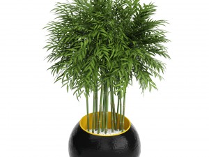 collection plants 3D Модель