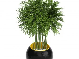 collection plants 3D Model