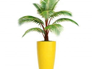 collection plants 3D Model