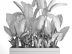 tropical plants in flowerpot 3Dモデル