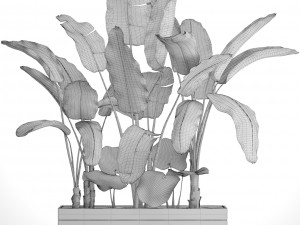 banana tree set Model 3D